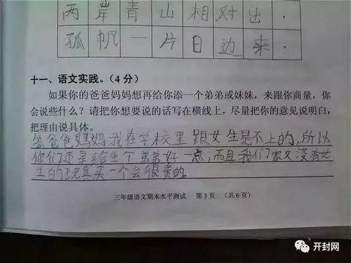 面对网红吃瓜群众作文,网络时代的舆论场