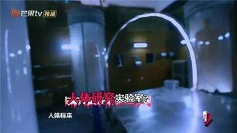 恐怖医院明星,明星惊悚演绎生死边缘