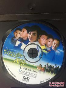 风筝dvd免费观看4集,揭秘前四集精彩剧情