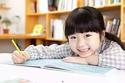 小学六年级高清无码,探索知识海洋的勇敢少年