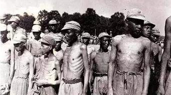 日本体中国,中日文化交流的历史脉络与未来展望