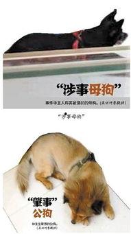 老公和母狗做爱,一段惊世骇俗的禁忌情缘