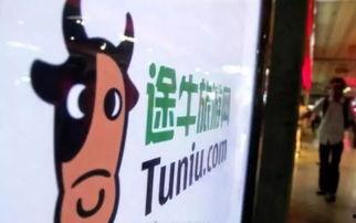 美国最新暴恐数字爆料,数字背后揭示严峻安全形势