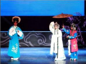 崇阳有什么明星,揭秘这座城市的璀璨星河