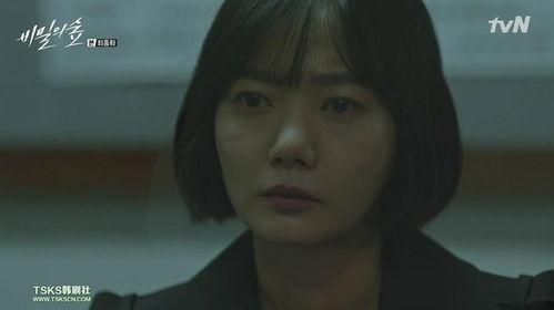 秘密森林16集免费观看,揭秘真相，免费观看大结局