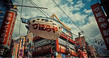 日本大,日本大成的辉煌历程与未来展望