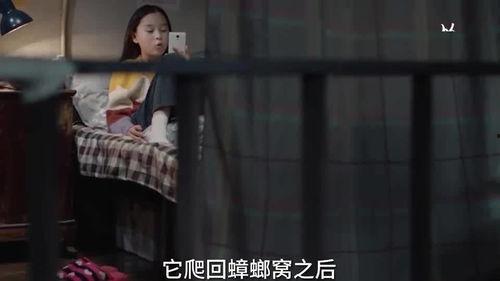 爆料小孩姐姐视频大全集